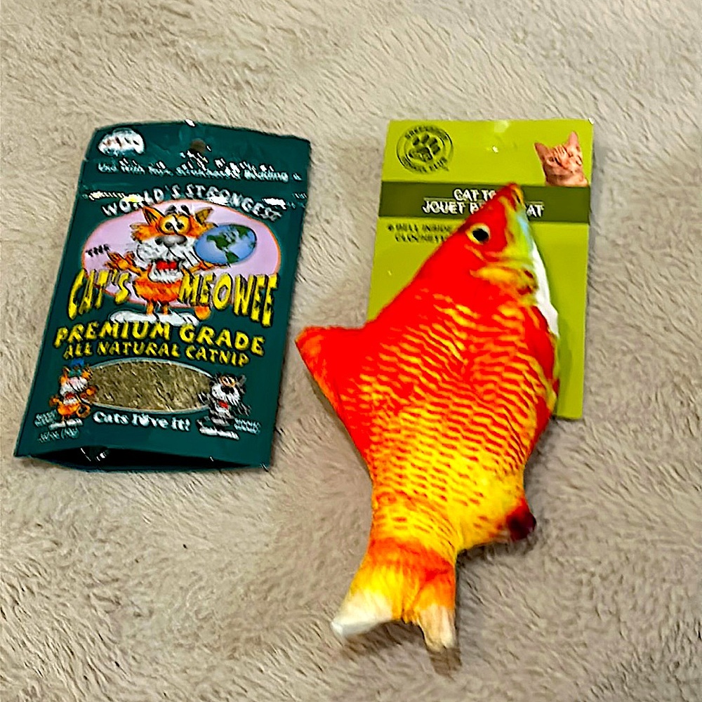 Cat toys (catnip and fish)